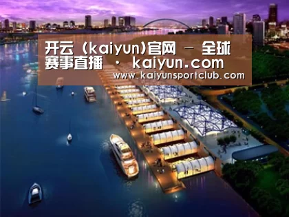 案例展示八
