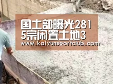 国土部曝光2815宗闲置土地3成闲置地至少荒5年|开云.com官网(图4) www.开云.com