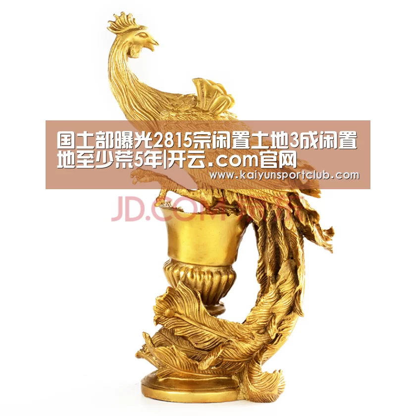 国土部曝光2815宗闲置土地3成闲置地至少荒5年|开云.com官网(图1) 开云中国在线