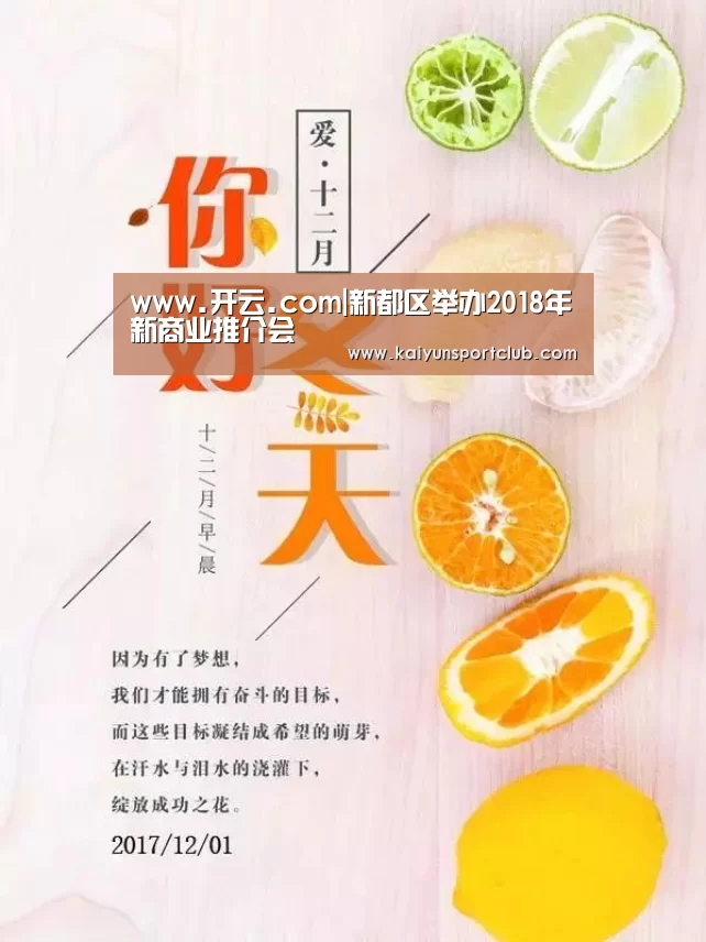 www.开云.com|新都区举办2018年新商业推介会(图2) www.开云.com