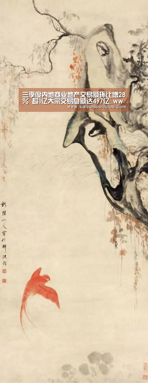 开云官网
