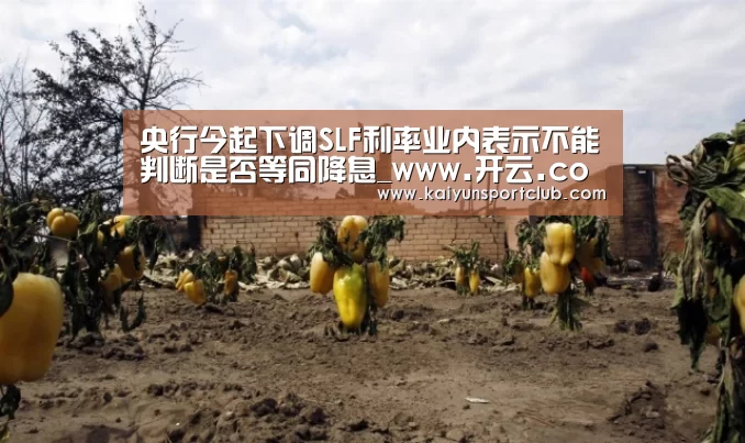 央行今起下调SLF利率业内表示不能判断是否等同降息_www.开云.com(图1) www.开云.com