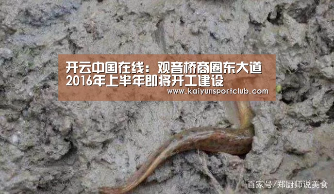 开云中国在线:观音桥商圈东大道2016年上半年即将开工建设(图2) 开云官网